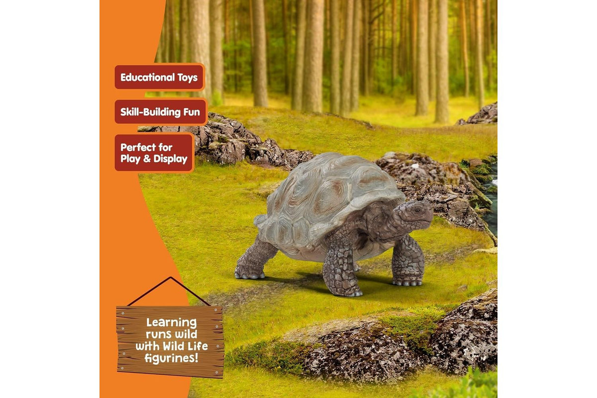 Schleich Wildlife Giant Tortoise | Toy Figure-4