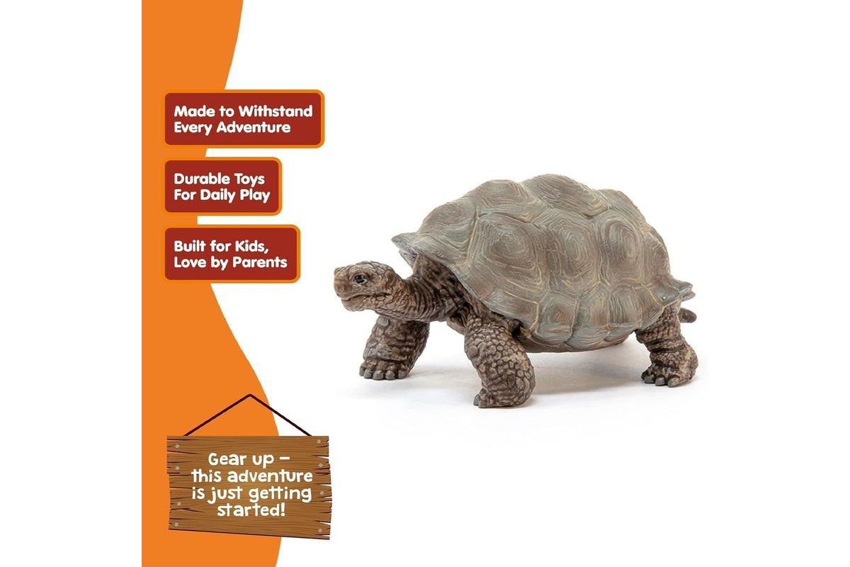 Schleich Wildlife Giant Tortoise | Toy Figure-5