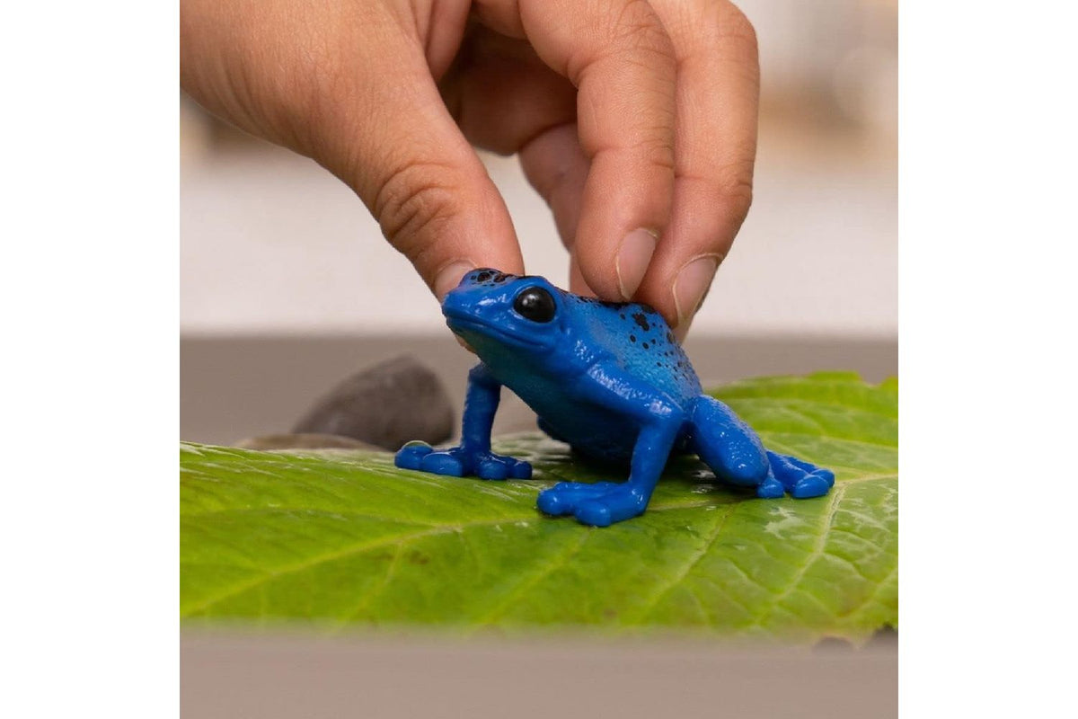 Schleich Wildlife Poison Dart Frog | Toy Figure-2