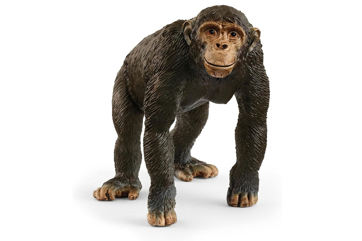 Schleich Wildlife Chimpanzee | Toy Figure