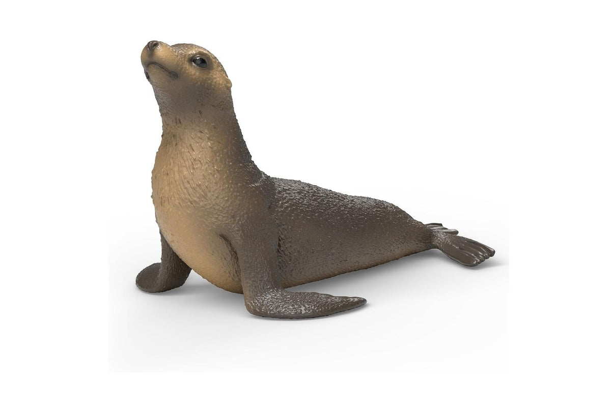 Schleich Wildlife Sea Lion | Toy Figure