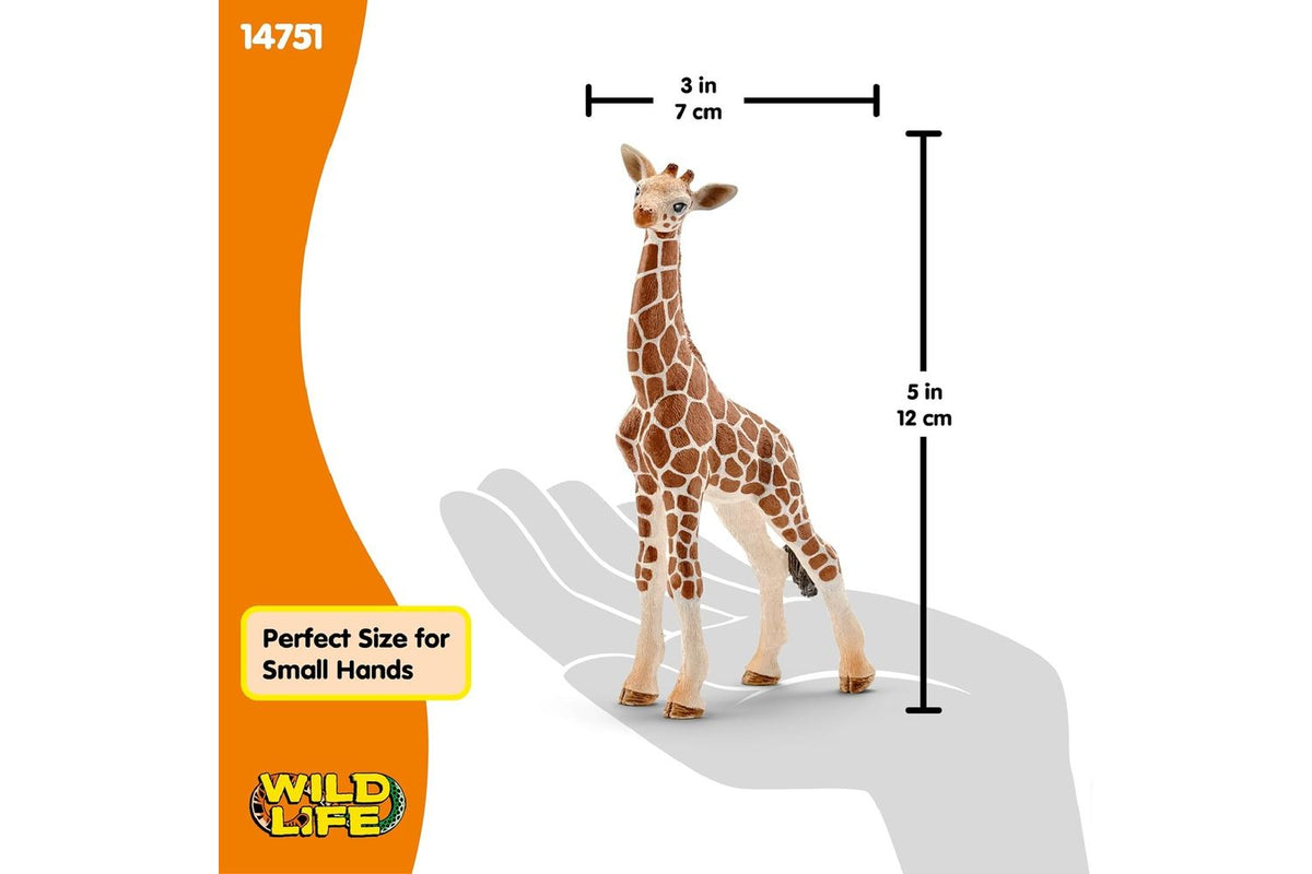 Schleich Wildlife Giraffe Calf Figure | Toy Animal-2