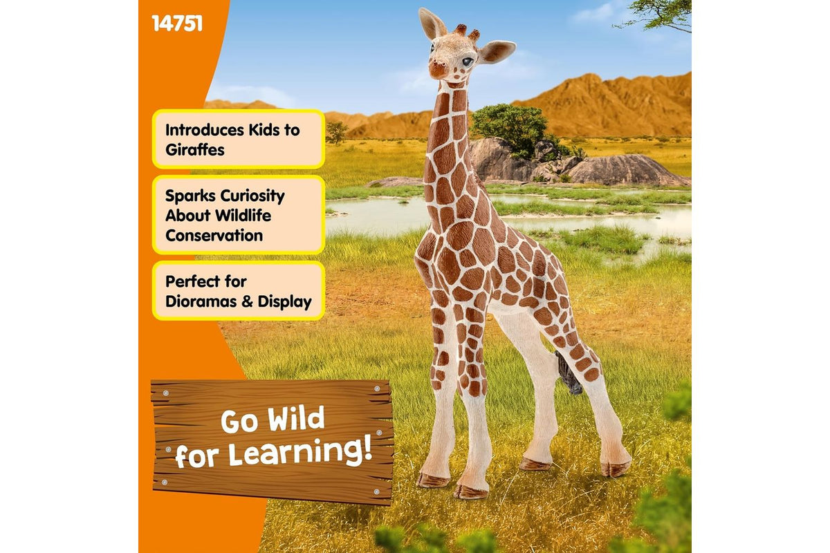 Schleich Wildlife Giraffe Calf Figure | Toy Animal-3