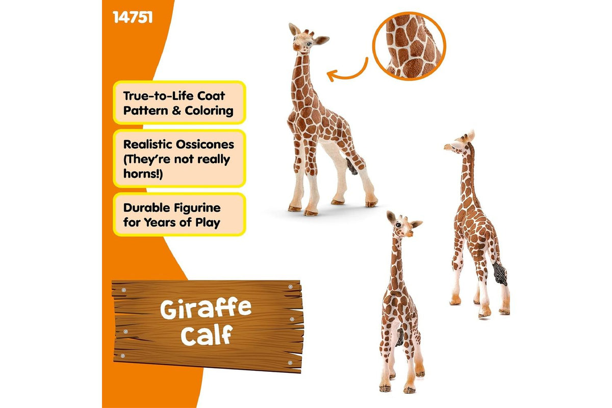Schleich Wildlife Giraffe Calf Figure | Toy Animal-4