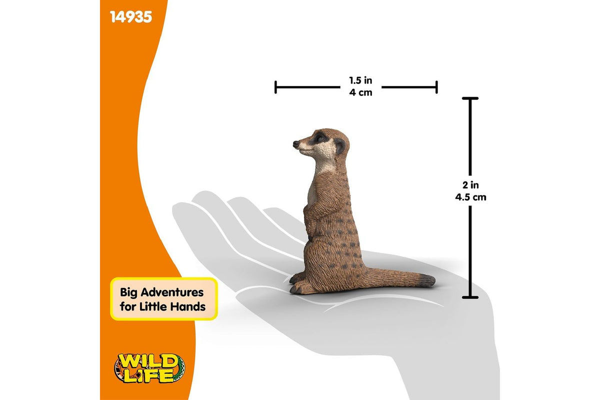 Schleich Wildlife Meerkat 14935 | Toy Figure-3