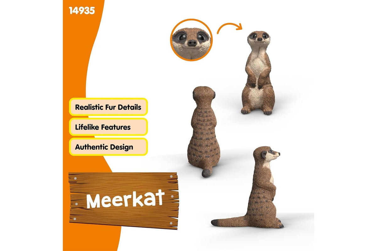 Schleich Wildlife Meerkat 14935 | Toy Figure-4