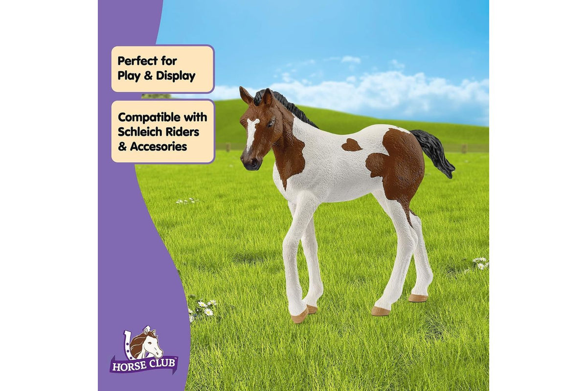 Schleich Horse Club Paint Horse Foal | Toy Figure-3